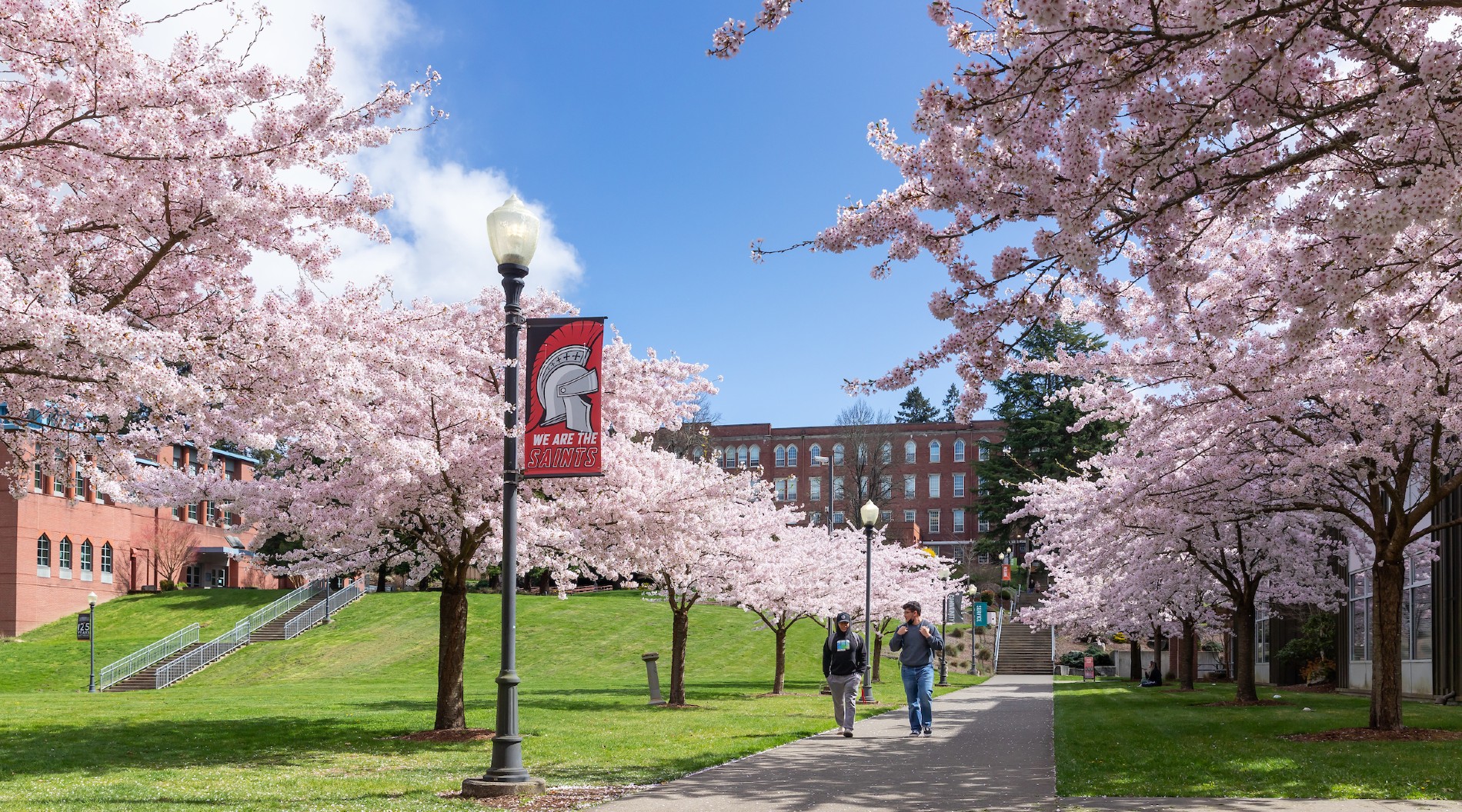 Student wellbeing | Saint Martin's University