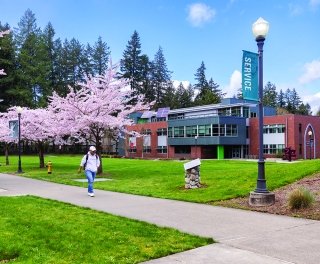 A student walks past Cebula Hall on a sunny day with cherry trees blooming.