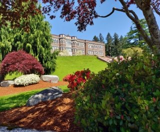 Old Main and Japanese maple