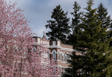 Brick building seen through the evergreen and flowering trees