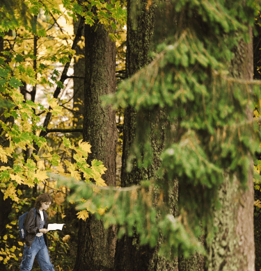 A student reads a book while walking through trees
