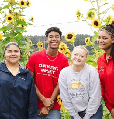 Students stand together among sunflowers