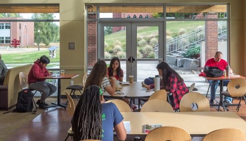 Photo of students studying in Harned Hall