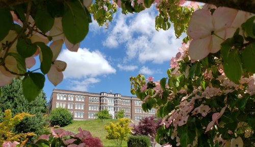 Old Main framed by foliage