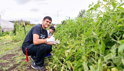 Photo of Benedictine scholars at Our Common Home Farms