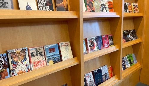 Bookshelf displays showing off bookcovers.