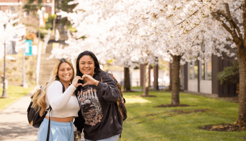 Students pose making a heart with their hands under blossoming cherry trees