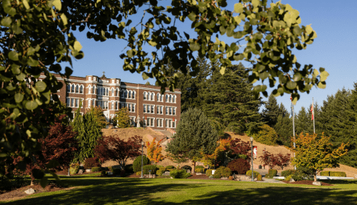 Old Main framed by a tree branch on a sunny day