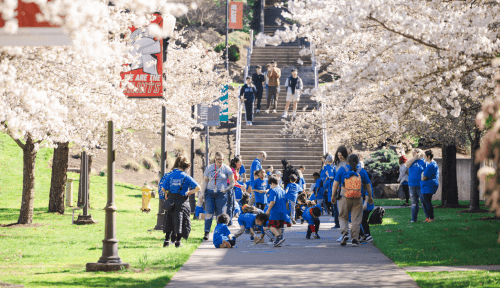 College students supervise kindergartners on beneath blooming cherry trees