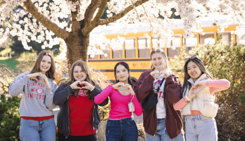 Students in a line make hearts with hands beneath a blooming cherry tree, a yellow school bus behind