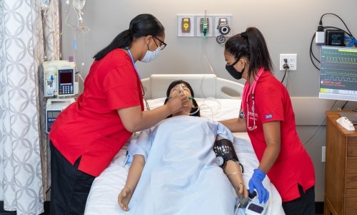 Saint Martin's nursing program receives $2.22 million HRSA Nursing Workforce Diversity grant