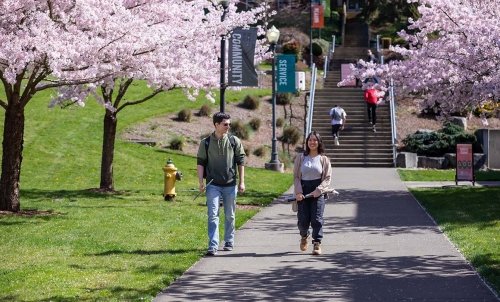 Photo of students walking