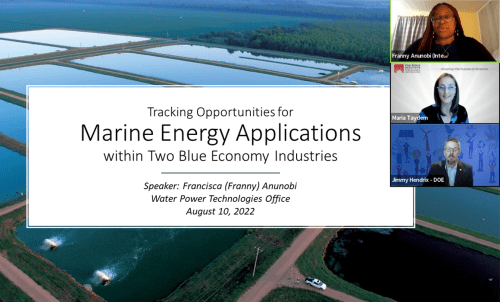 Photo of Franny's presentation on Marine Energy Applications