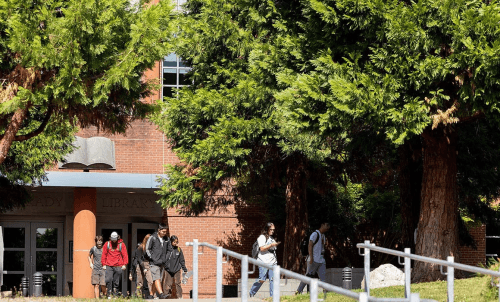 Students walk out from the library on a sunny day