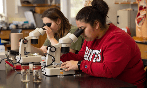 Two students examine specimens with microscopes