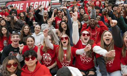 A crowd cheers in the stands at a game