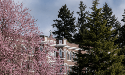 Brick building seen through the evergreen and flowering trees