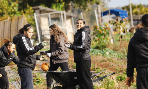 Student volunteers work with produce on a farm