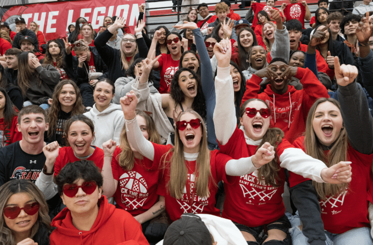 A crowd cheers in the stands at a game