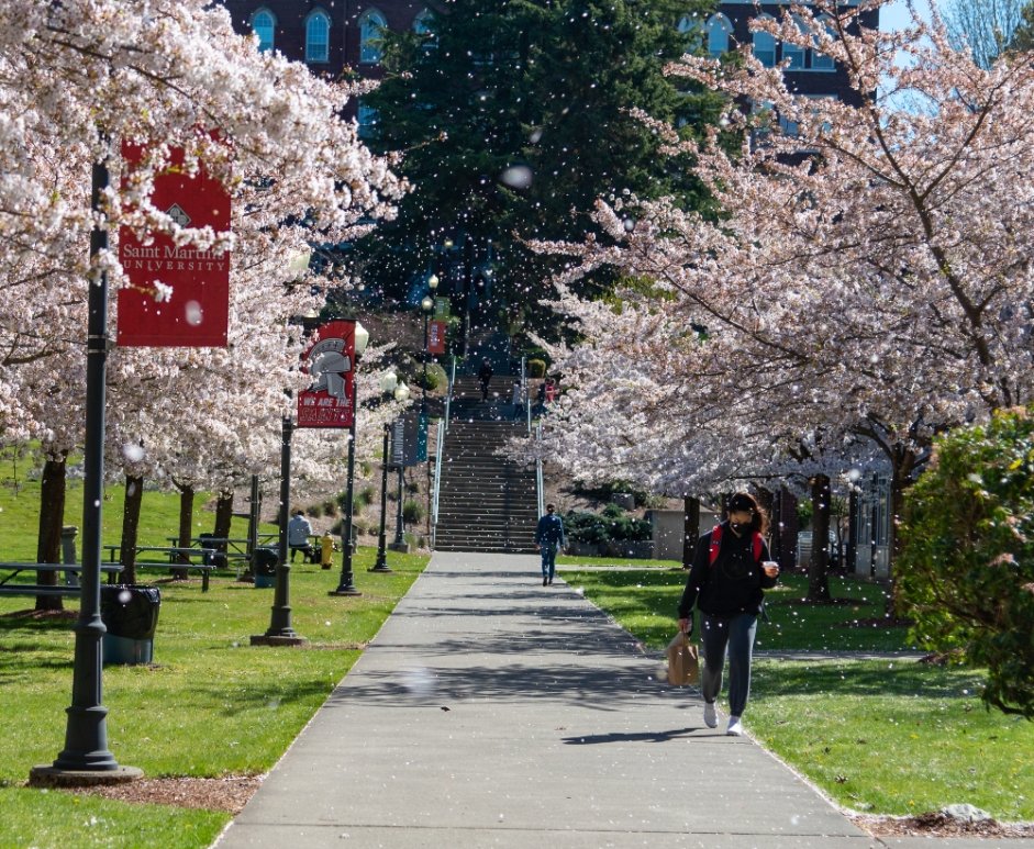 Admissions & Financial Aid Saint Martin's University