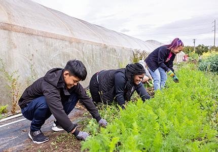 students serving photo