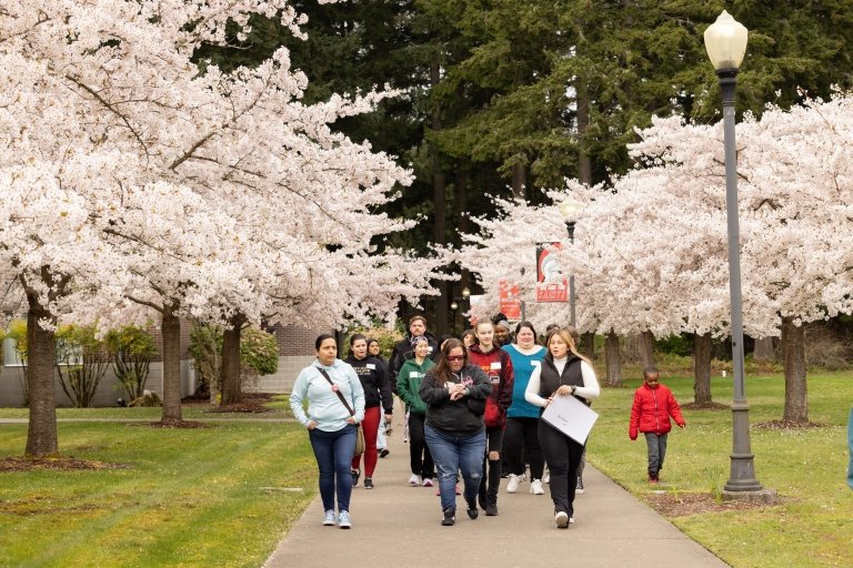 A group of parents and newly admitted students walk down a path lined with blossoming cherry trees