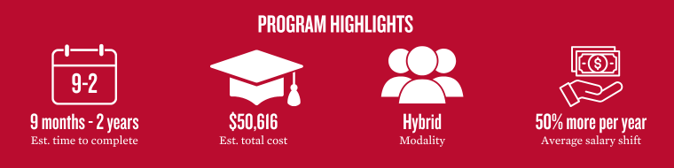 Program highlights showing key metrics