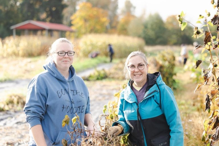 Volunteers stand in a field on a farm